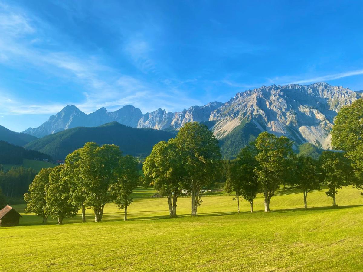 Appartement Steinfisch Ramsau am Dachstein Luaran gambar