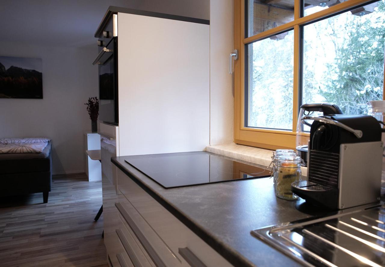 Appartement Steinfisch Ramsau am Dachstein Luaran gambar