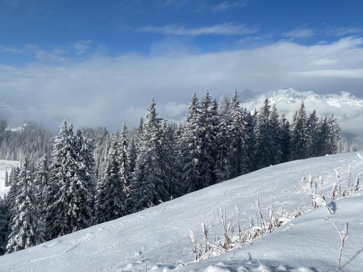 Appartement Steinfisch Ramsau am Dachstein Luaran gambar