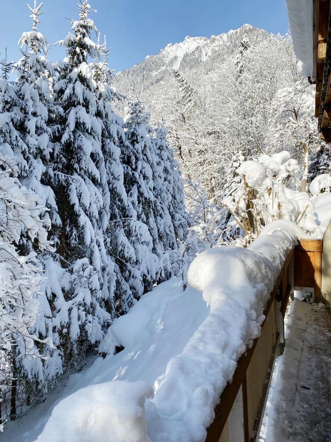Appartement Steinfisch Ramsau am Dachstein Luaran gambar