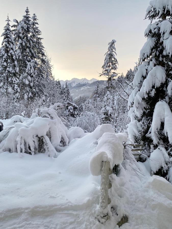 Appartement Steinfisch Ramsau am Dachstein Luaran gambar