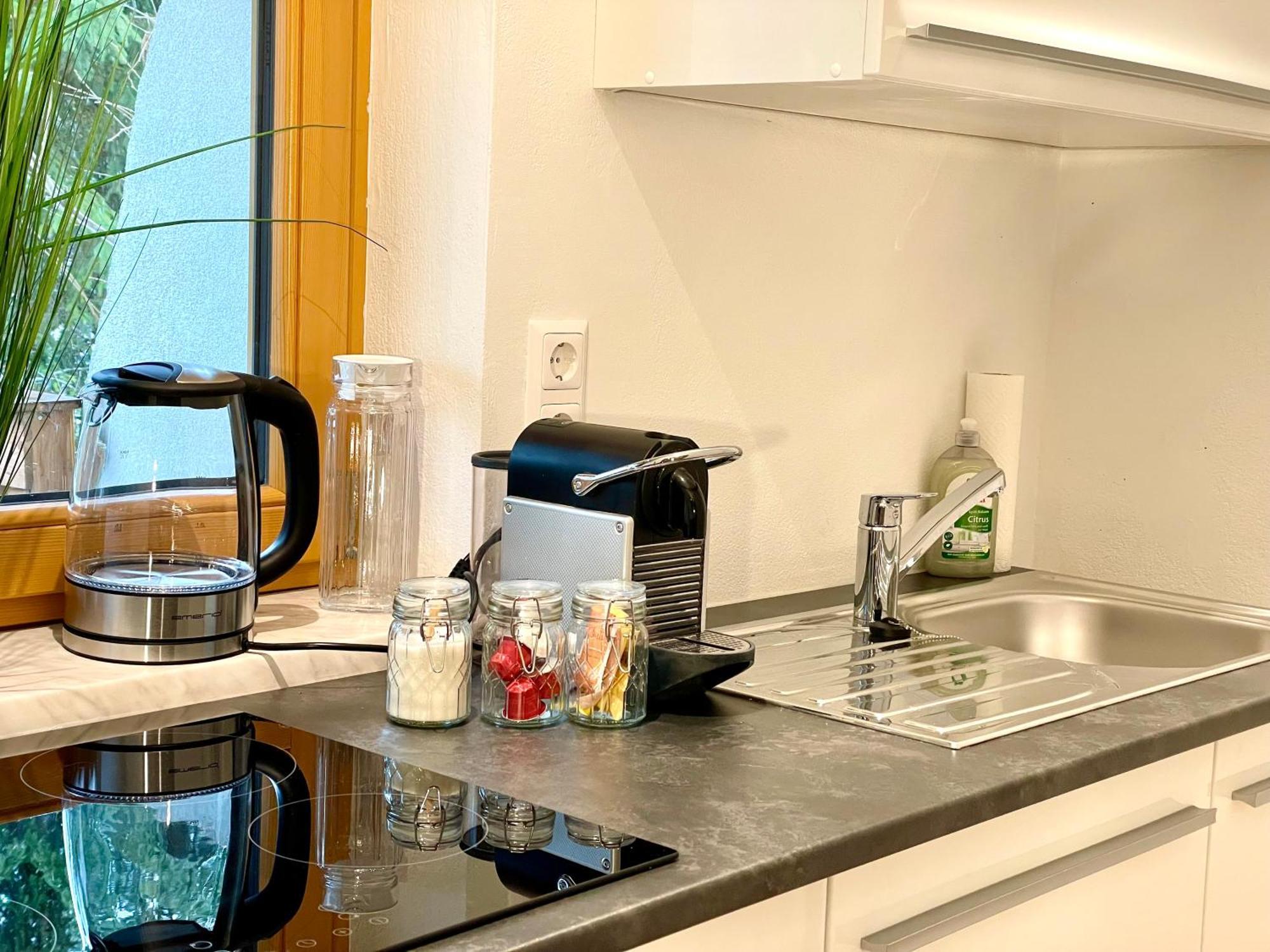 Appartement Steinfisch Ramsau am Dachstein Luaran gambar